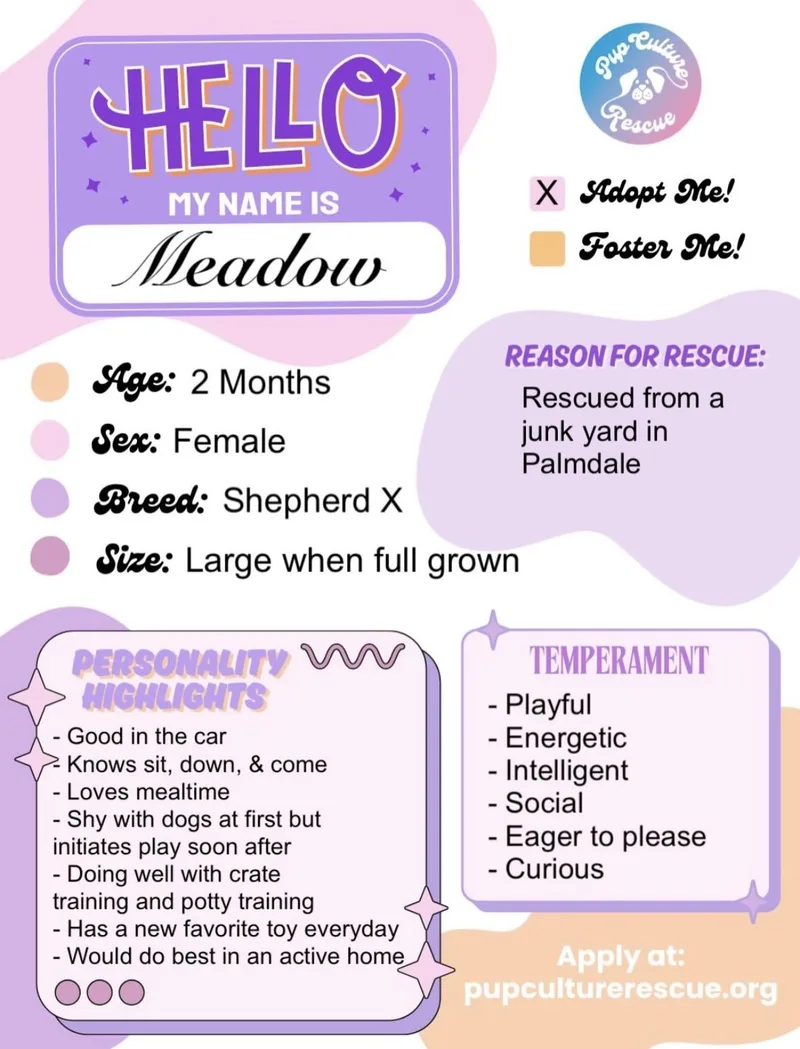 Meadow thumbnail 4