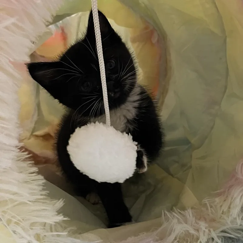 Madagascar thumbnail 3