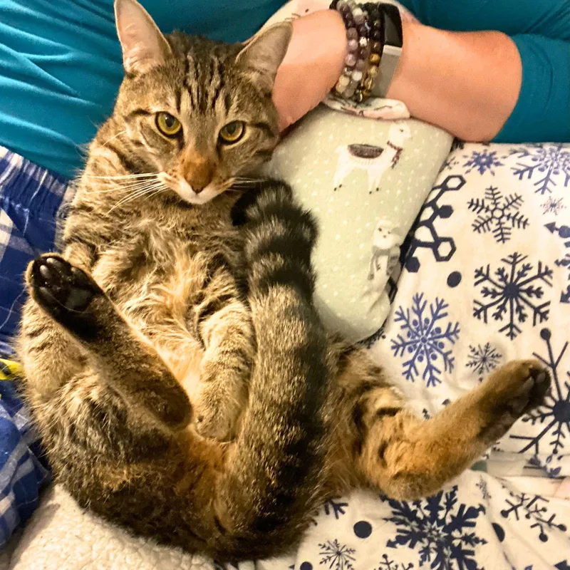 Cowboy Boots thumbnail 2