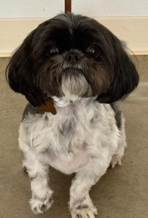 Bailey thumbnail 2