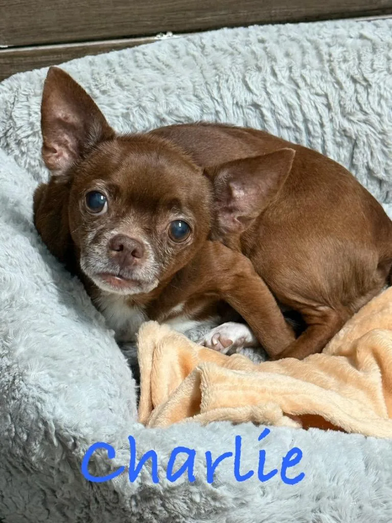 Charlie