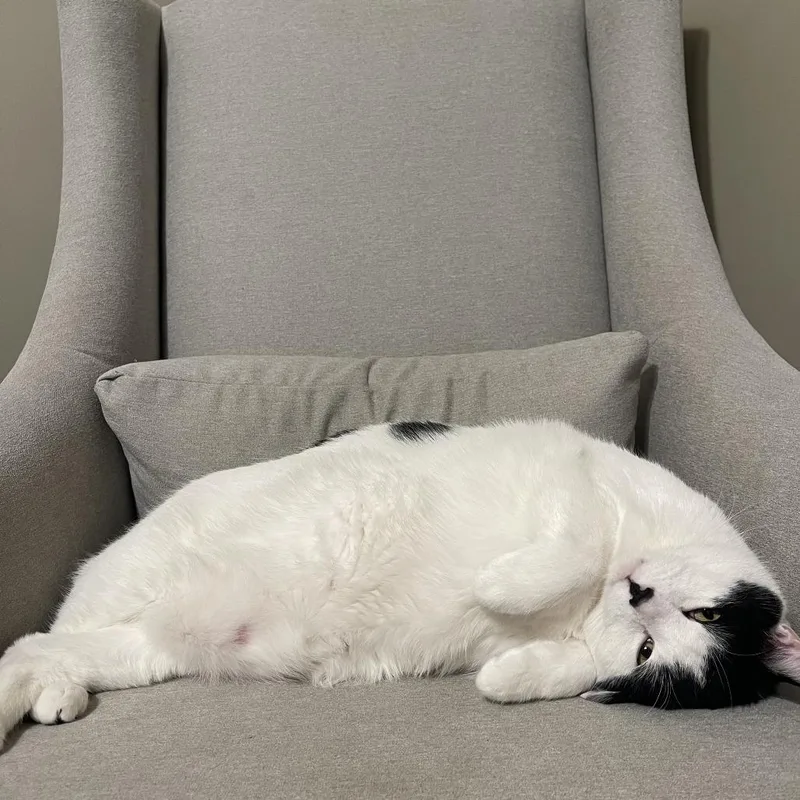 George