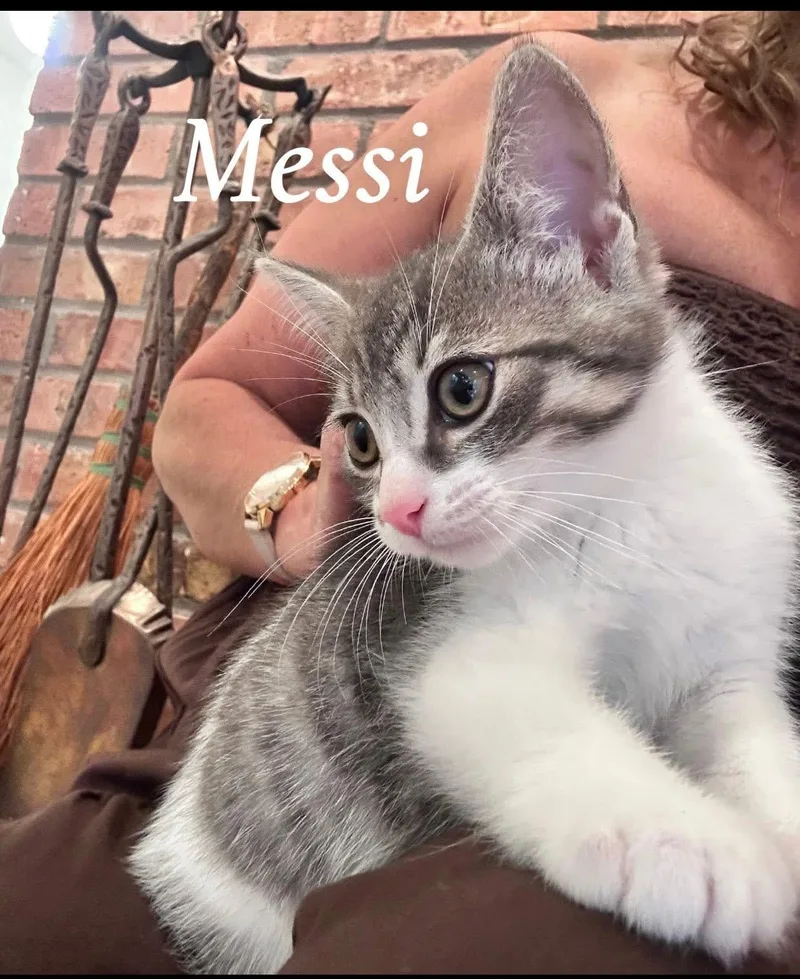 Messi thumbnail 2
