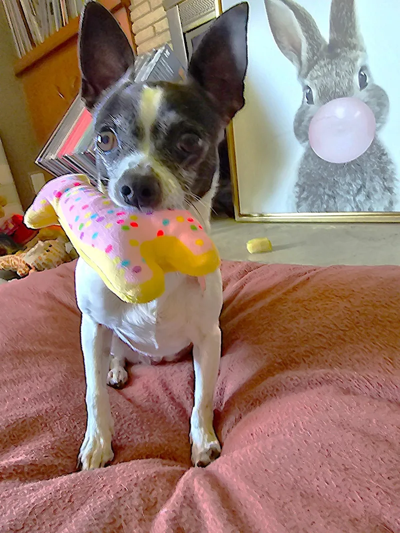 Pepper thumbnail 6