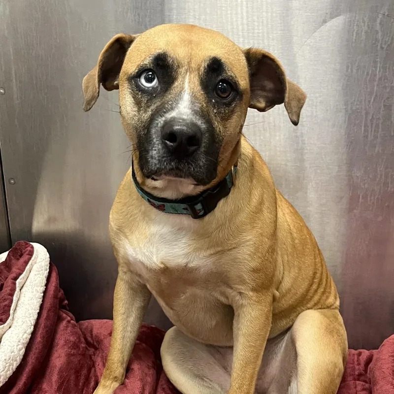 Chloe Jane thumbnail 2