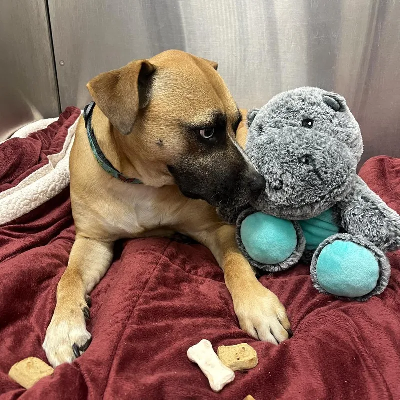 Chloe Jane thumbnail 3