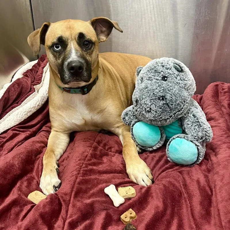 Chloe Jane thumbnail 4