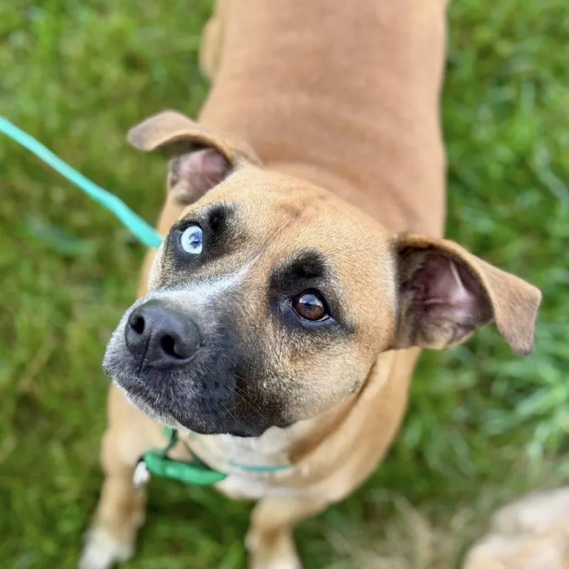 Chloe Jane thumbnail 6