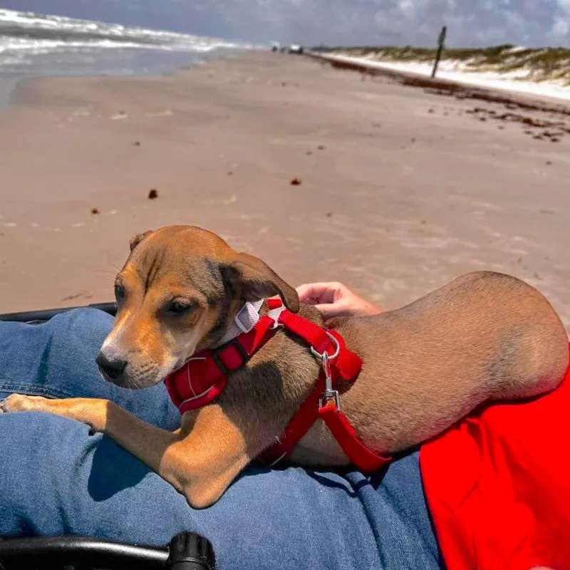Kiki thumbnail 3