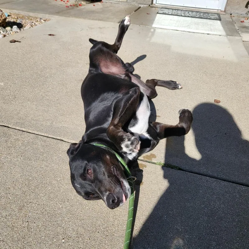 Cosmo