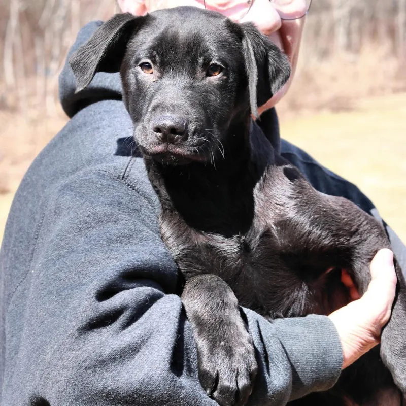 Ct Monday thumbnail 3