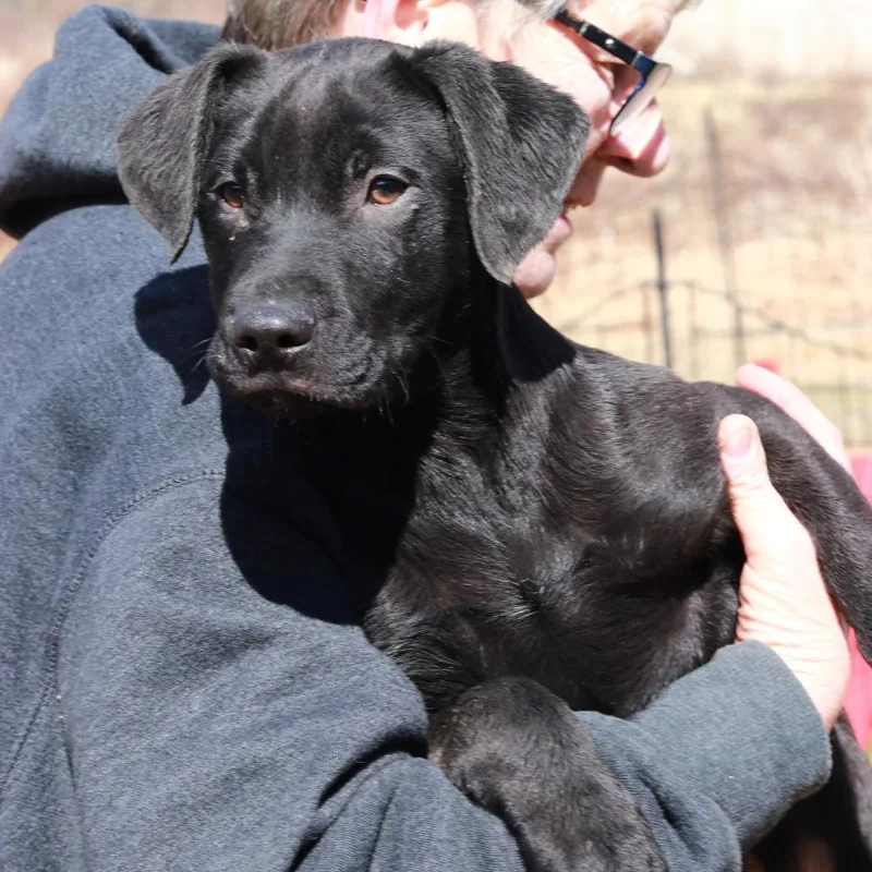 Ct Monday thumbnail 4