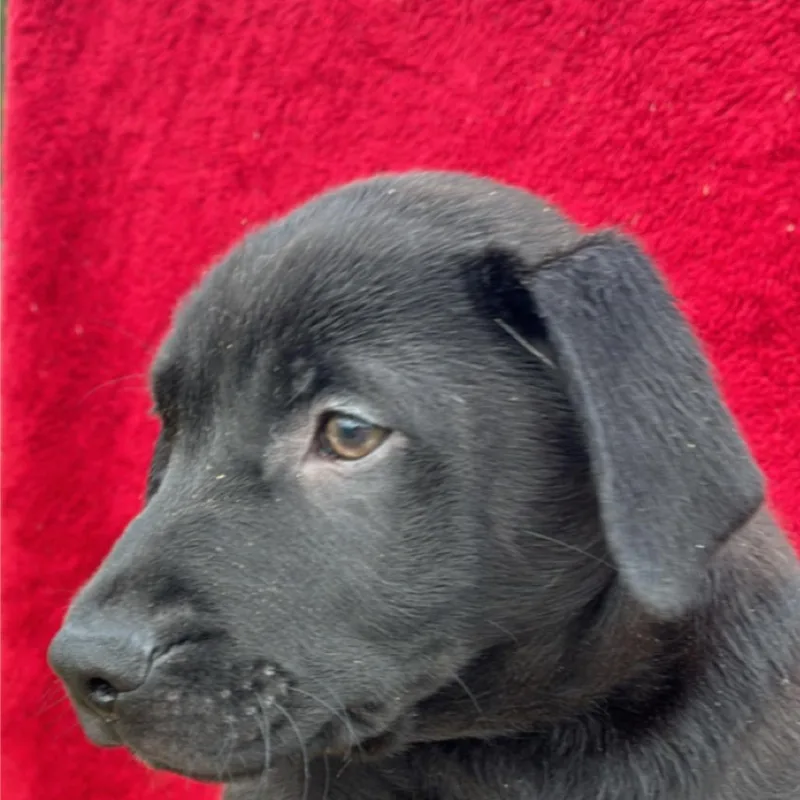 Ct Monday thumbnail 6