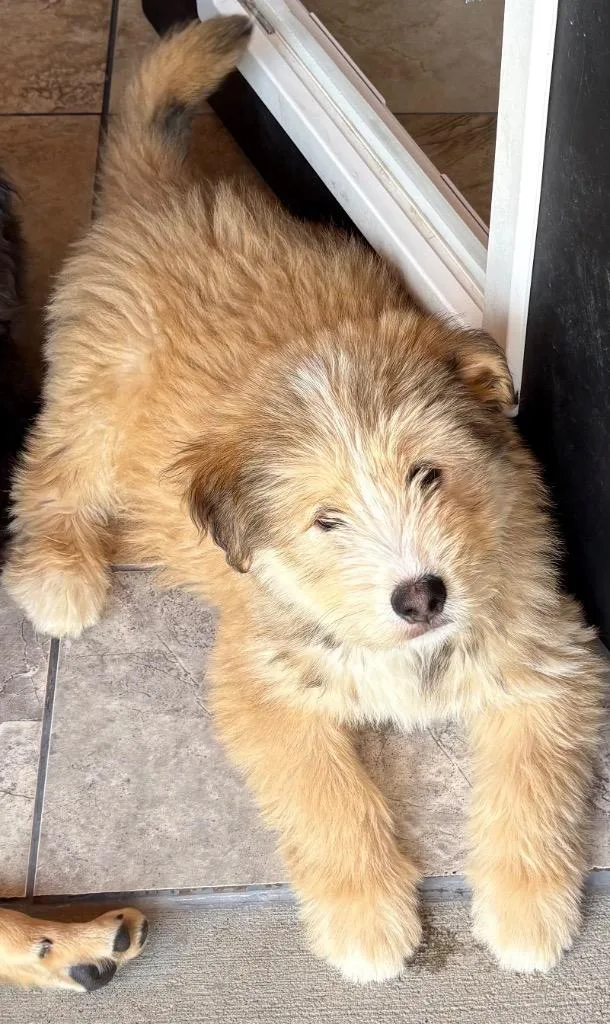 Elah Bandik thumbnail 2