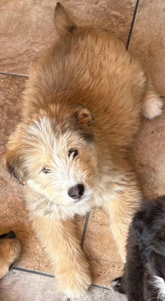 Elah Bandik thumbnail 4