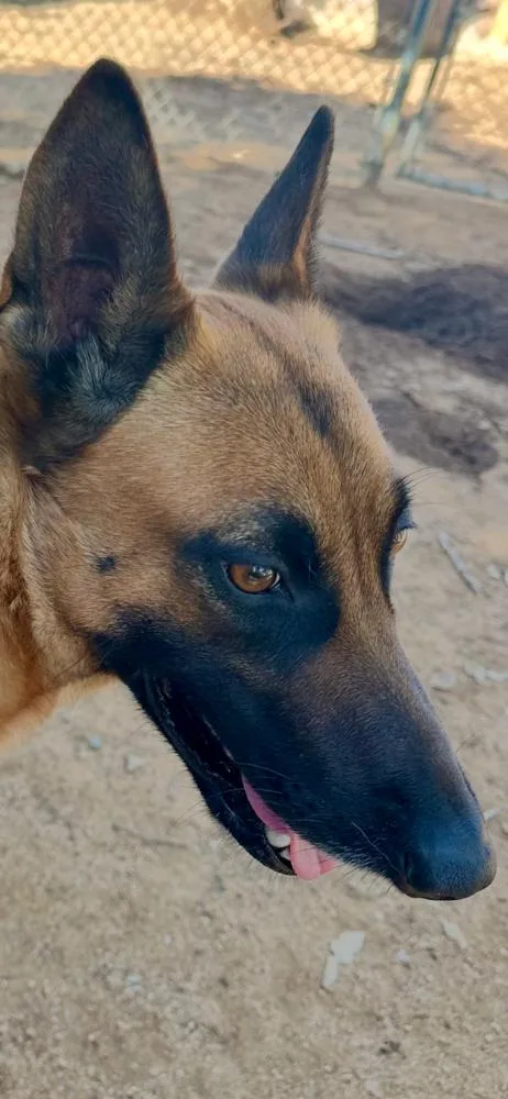 Lunamama thumbnail 2