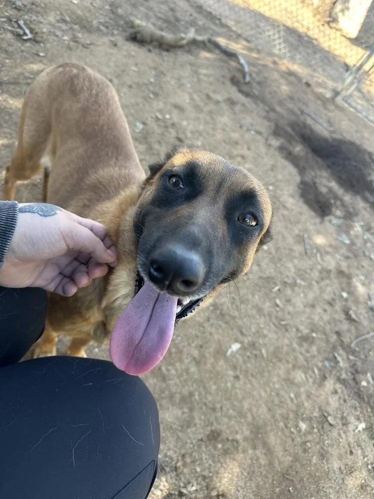 Lunamama thumbnail 3