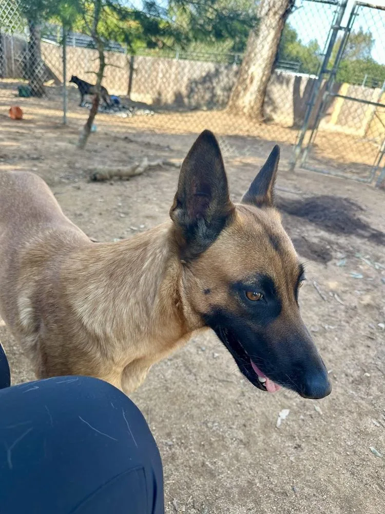 Lunamama thumbnail 4