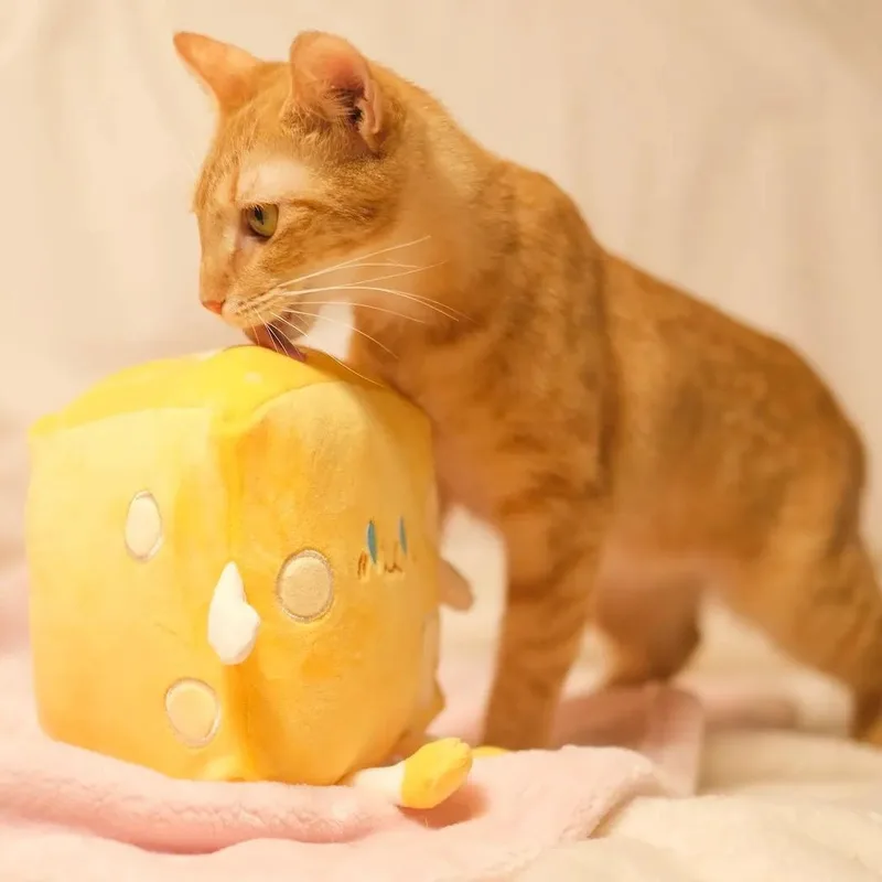 Cheese thumbnail 2
