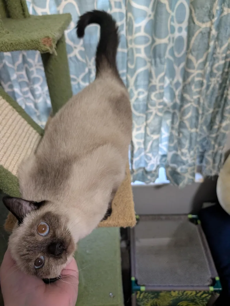 Tamara Grace thumbnail 2