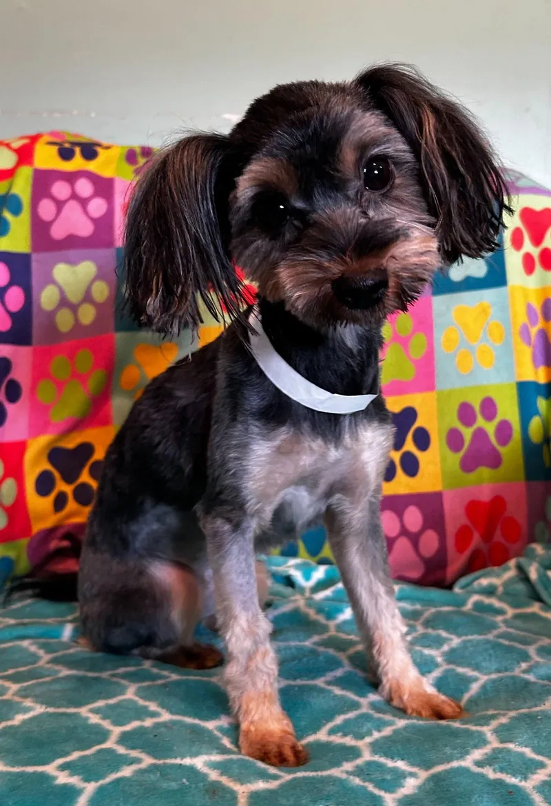 Willow Mar thumbnail 2