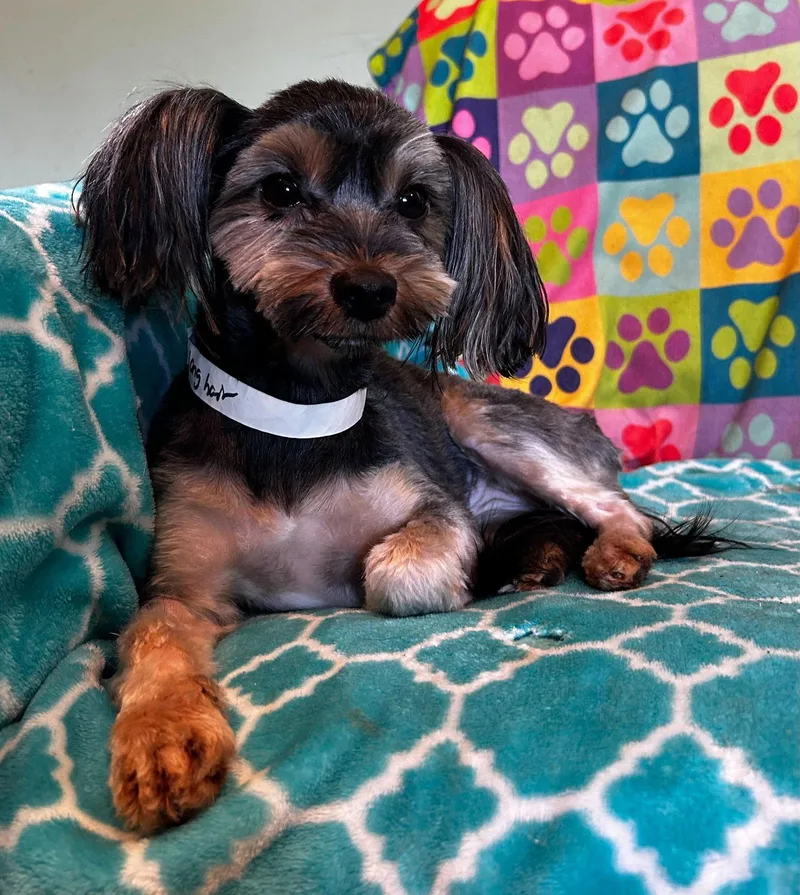 Willow Mar thumbnail 3