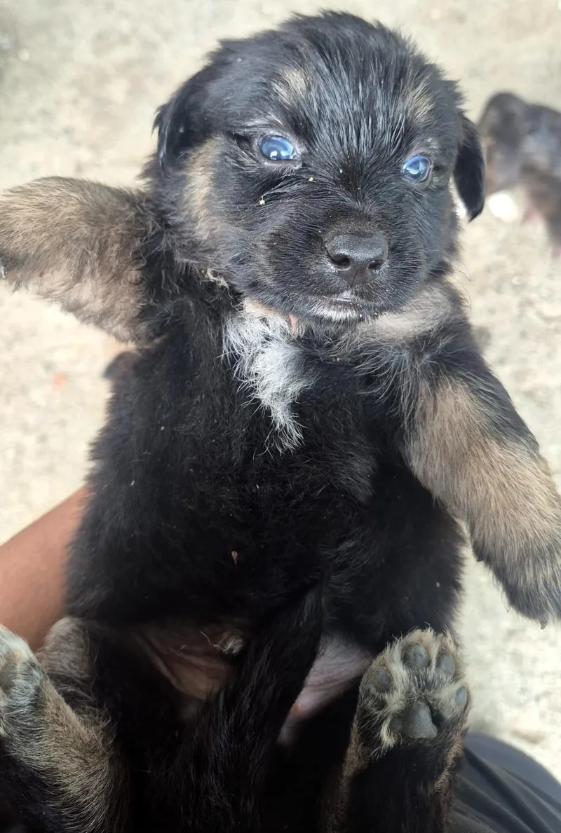 Zugu "the Only Love thumbnail 2