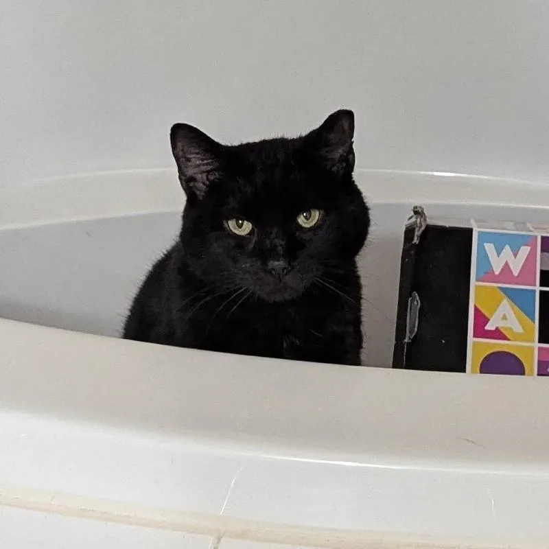 Midnight Storm thumbnail 3