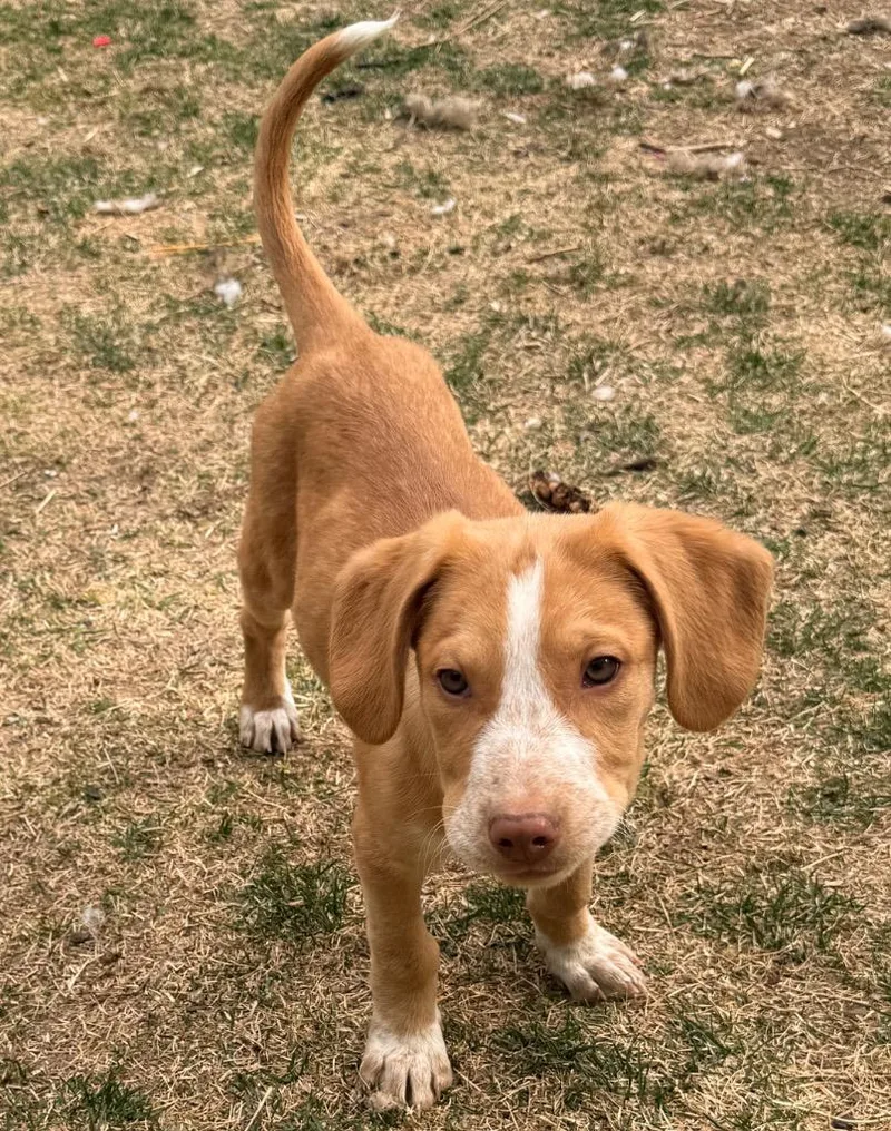 J.quincy Cupcake thumbnail 2