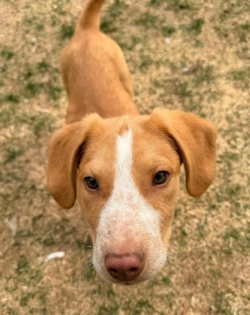 J.quincy Cupcake thumbnail 3