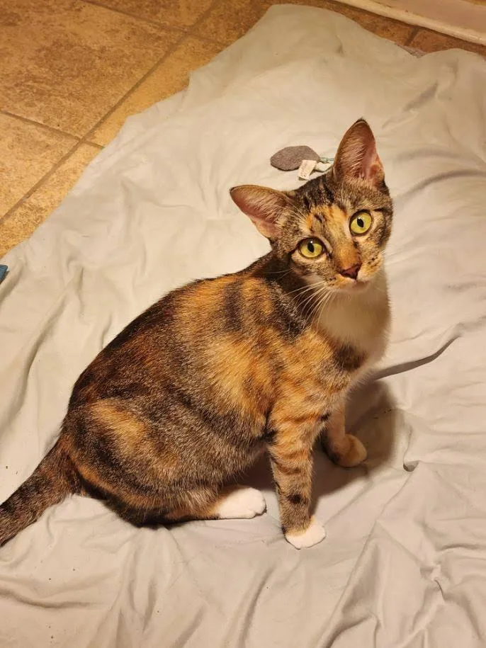 Mama Coco thumbnail 6