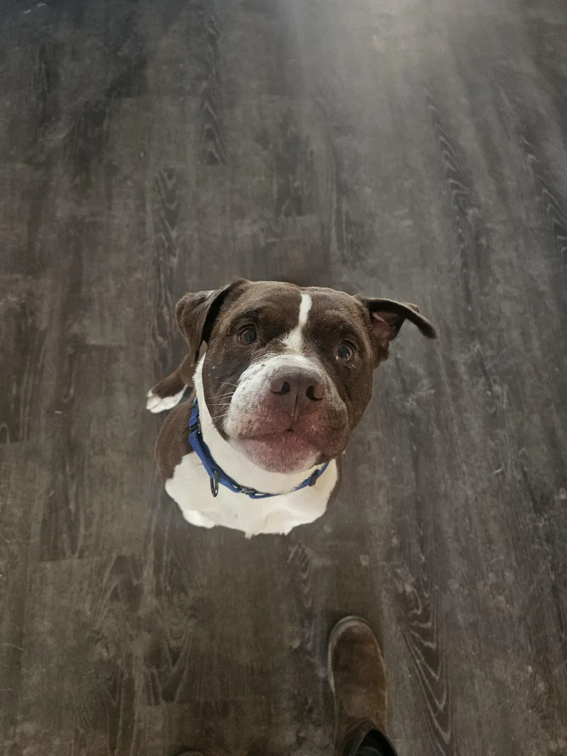 Travis Boone thumbnail 2