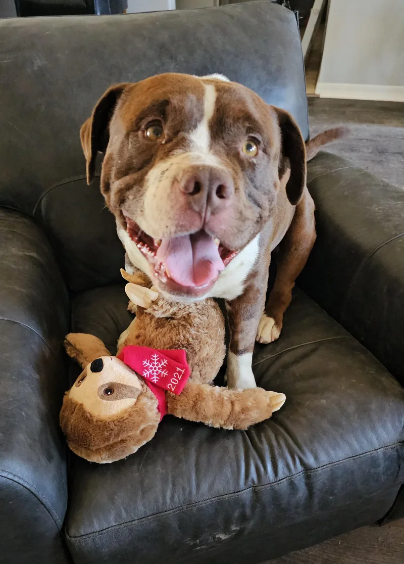 Travis Boone thumbnail 5