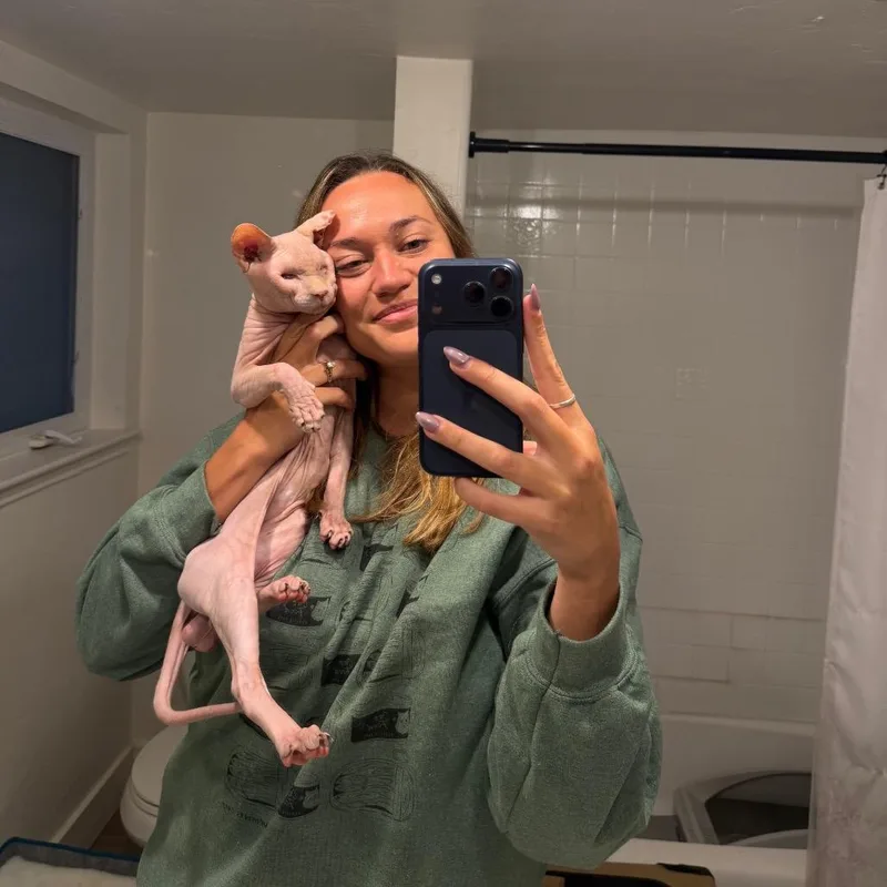 A senior medium-sized male Buff / Tan / Fawn Sphynx / Hairless Cat cat named Titus for adoption in Pearland, TX