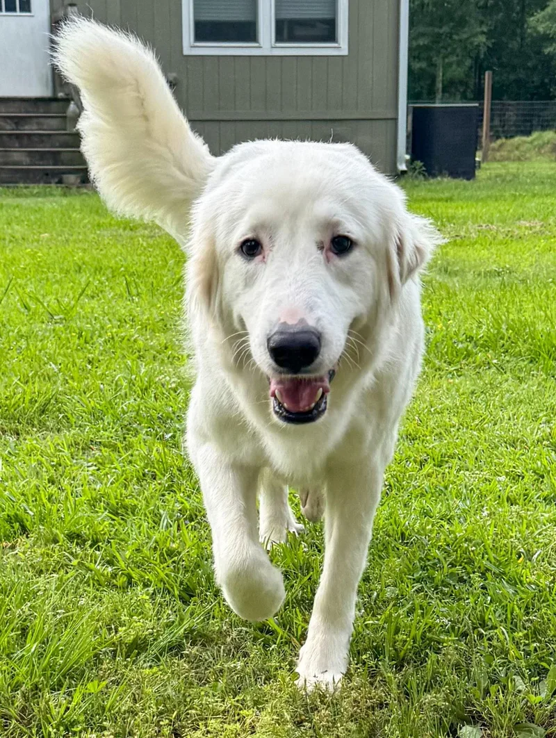 Skye AKA Skyler thumbnail 3