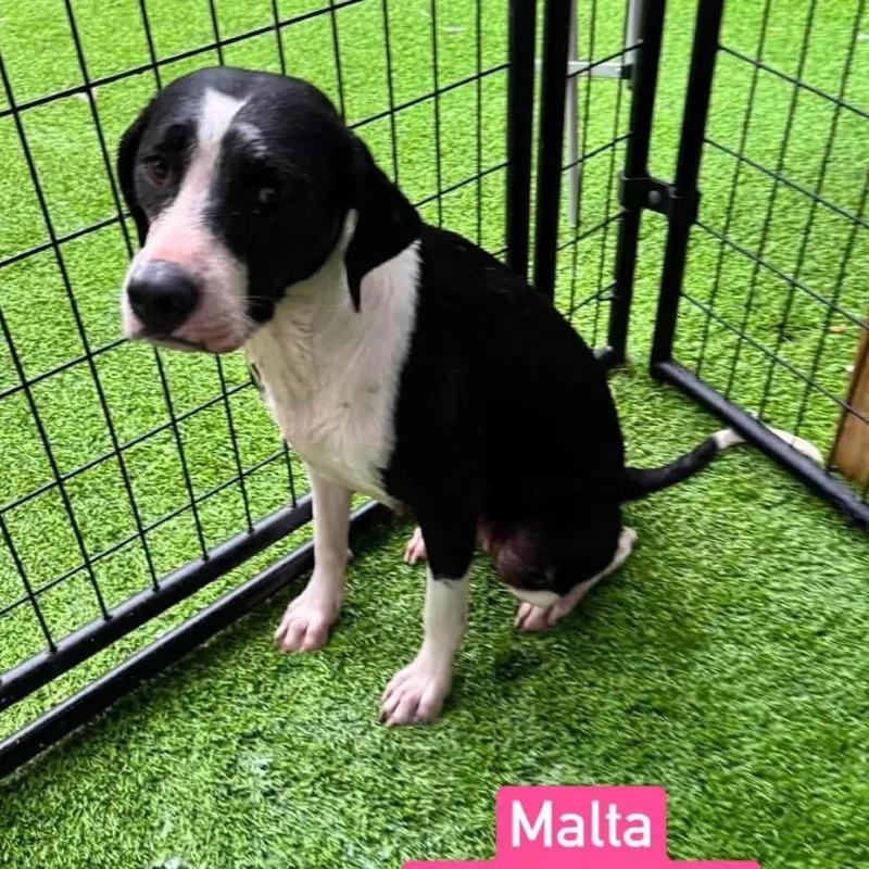 Malta