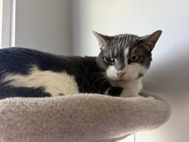 Missy thumbnail 5