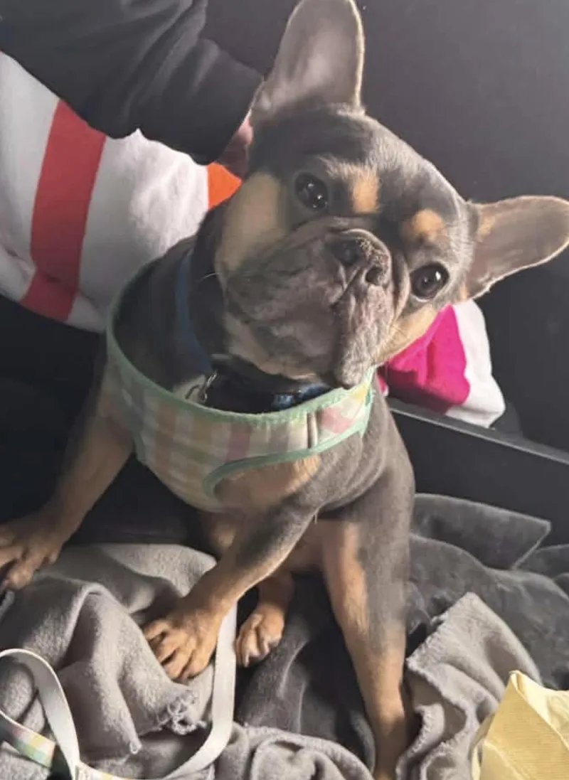 Maui James