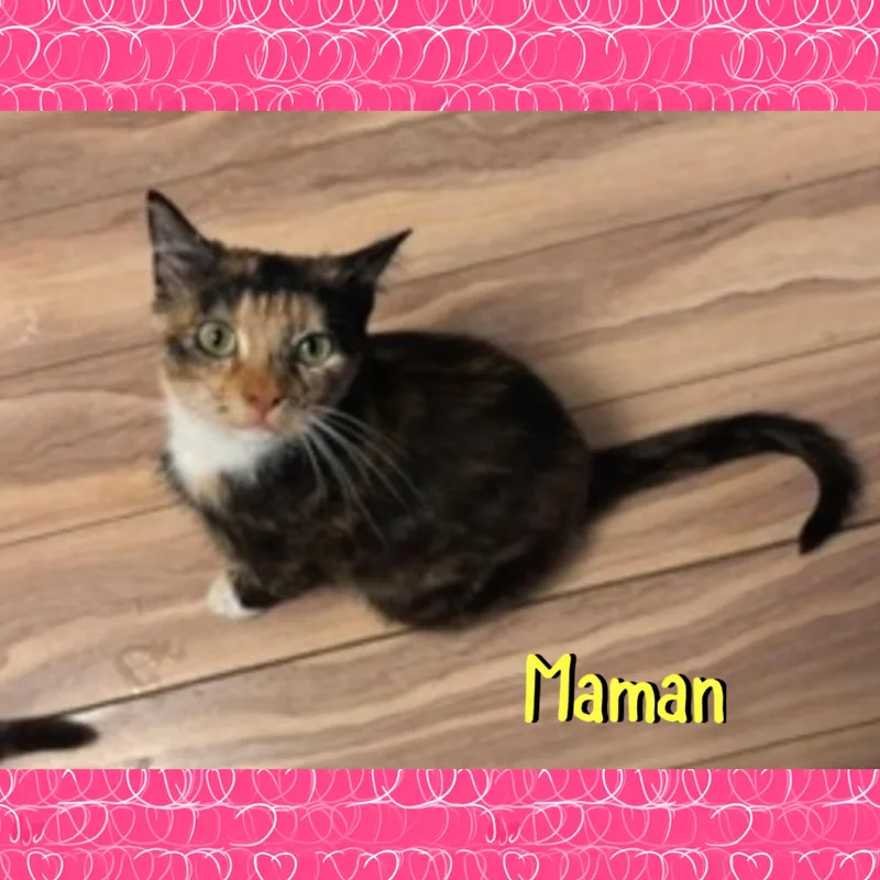 Maman