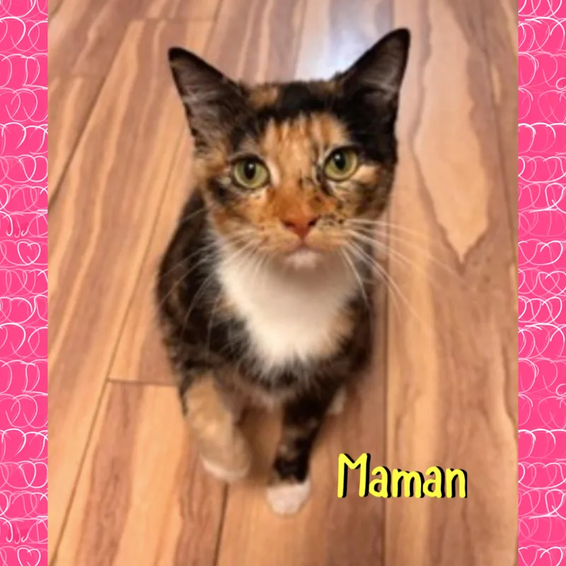 Maman thumbnail 2