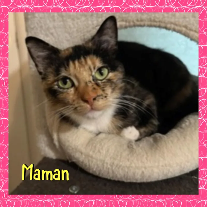 Maman thumbnail 3