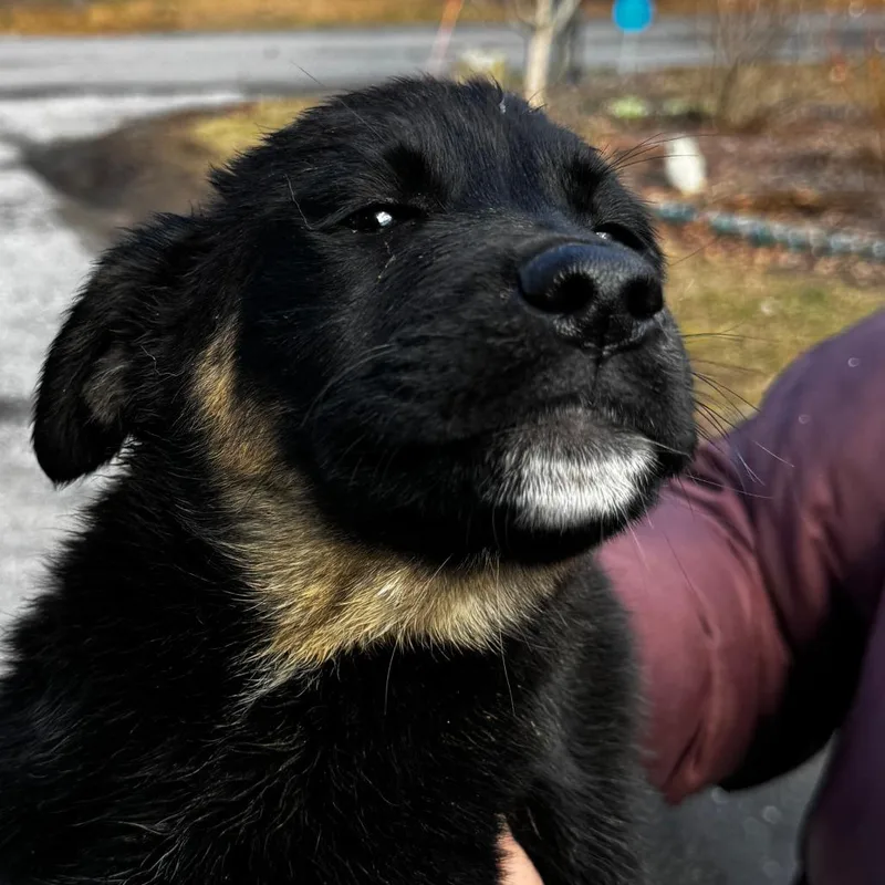 Ny Salma Hayek Avail thumbnail 2