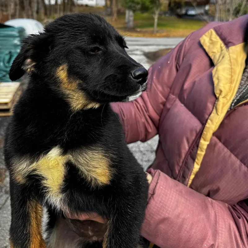 Ny Salma Hayek Avail thumbnail 3