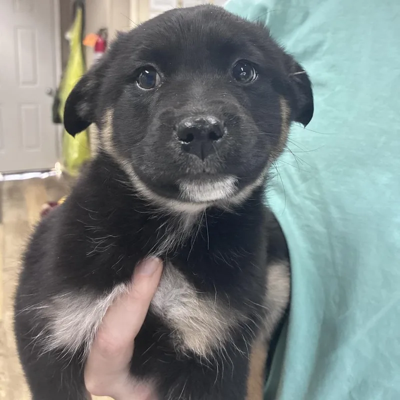 Ny Salma Hayek Avail thumbnail 4