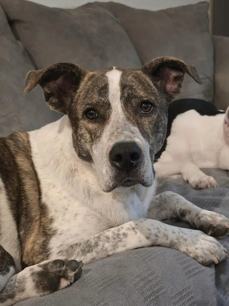 Piper Fka Alice thumbnail 2