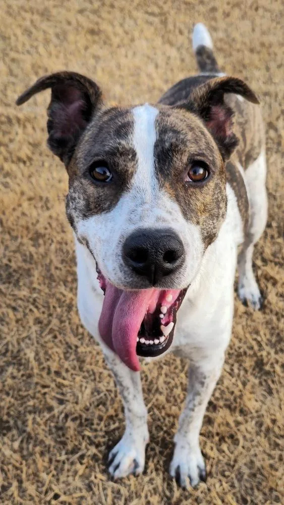 Piper Fka Alice thumbnail 3