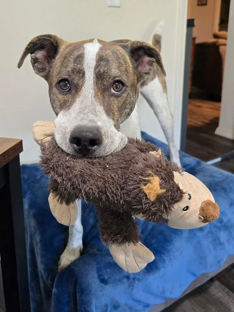 Piper Fka Alice thumbnail 4