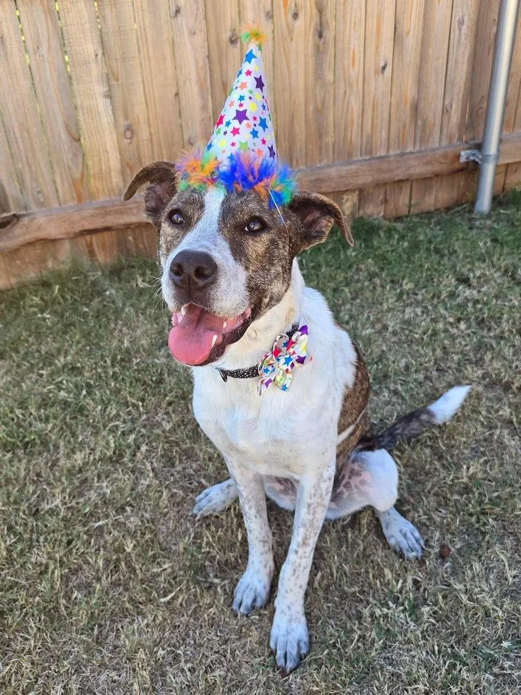 Piper Fka Alice thumbnail 5