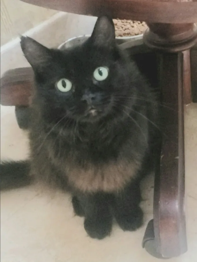 Heidy Diamondintherough