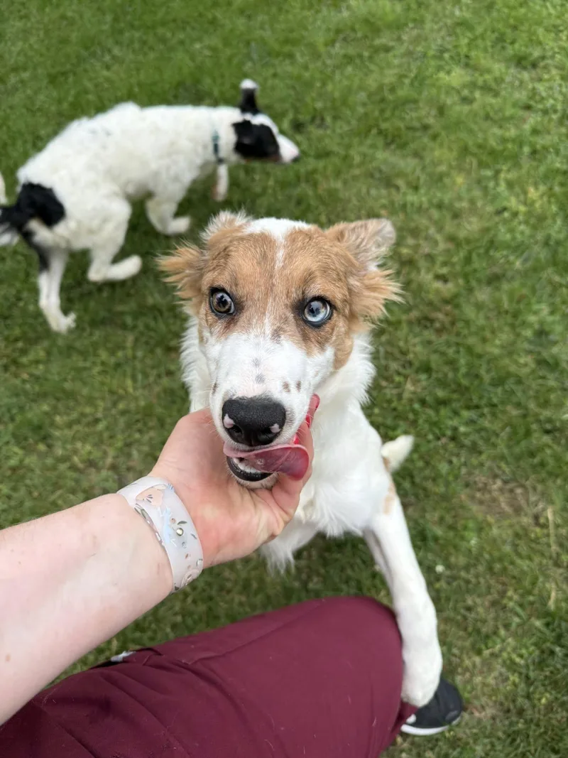 Socket thumbnail 3